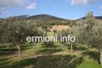 GL 0176 - Kabayianna Land - Fourni - Ermionida